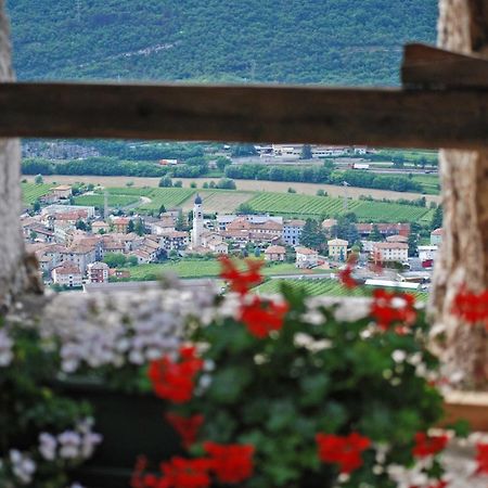 فيلا Agriturismo Salizzoni Calliano  المظهر الخارجي الصورة